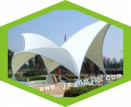 景观11
